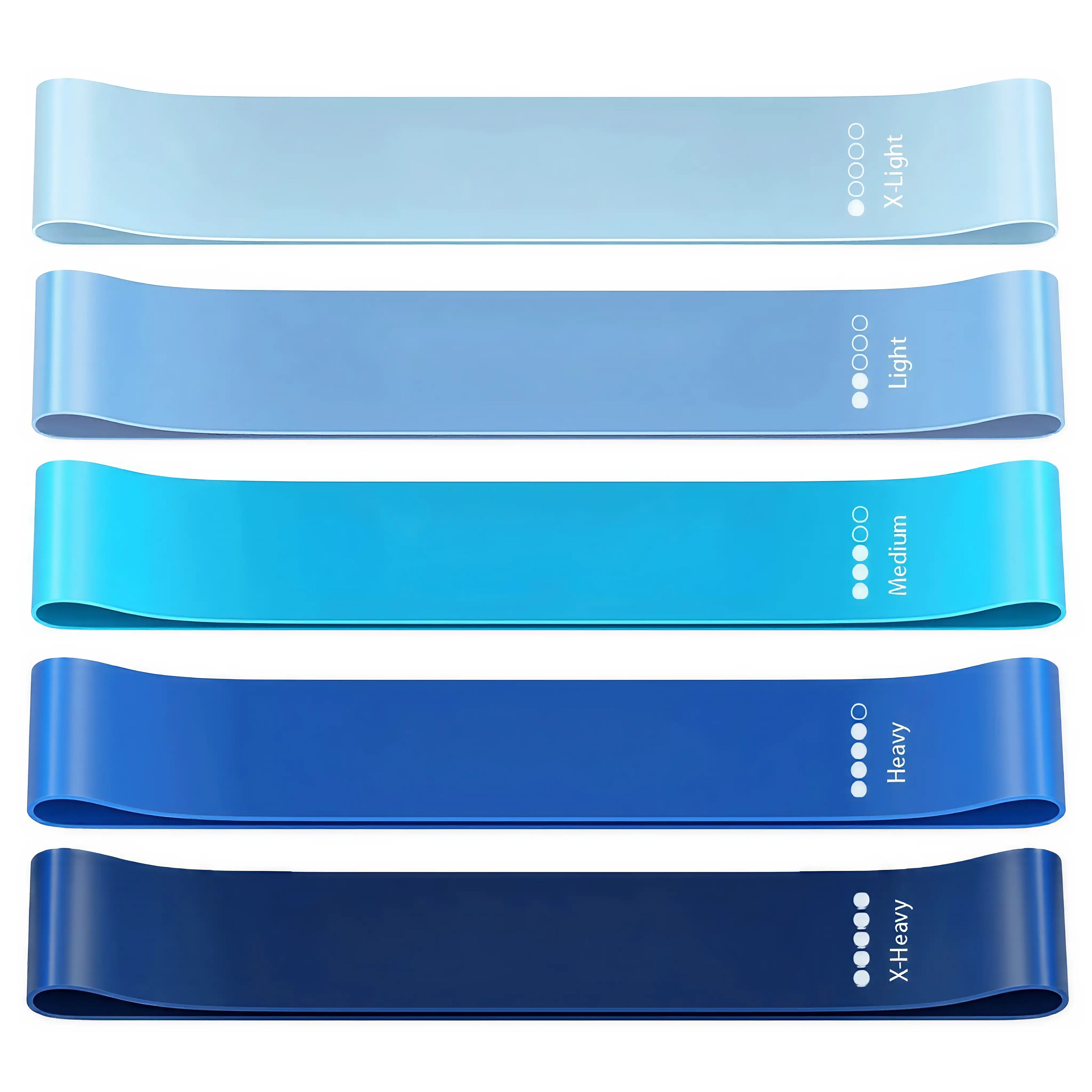 FlexLoop Resistance Band Set – 5er Fitnessband-Set mit verschiedenen Widerständen für Beine, Arme & Core